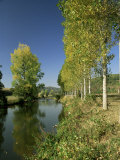 River Sarthe, Near Le Mans, Sarthe, Western Loire, Pays De La Loire, France