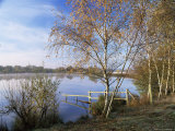 Buy Horseshoe Lake, a Flooded Gravel Pit, Sandhurst, Berkshire, England, United Kingdom at AllPosters.com