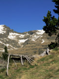 Buy Wild Daffodils and Cabana Sorda Corrie, Obac d'Incles, Soldeu, Andorra at AllPosters.com