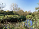 Buy River Blackwater, Finchamstead, England at AllPosters.com