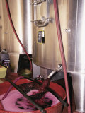 Racking Grape Juice into Fermentation Tanks, Chateau Crozet Bages, Pauillac, Gironde, France