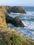 Pointe De Port Coton, Belle Ile En Mer, Breton Islands, Morbihan, Brittany, France