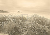 Dune Breeze