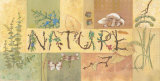 Buy Nature at AllPosters.com