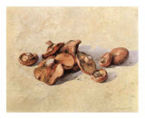 Buy Mushrooms at AllPosters.com
