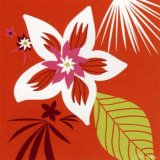 Buy Orange Fleur Blanche at AllPosters.com