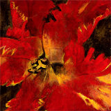 Buy Rosso Fiore II at AllPosters.com