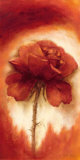 Roses II