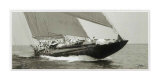 Buy Endeavour at AllPosters.com