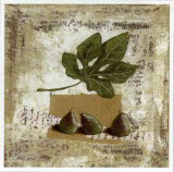 Buy Figues Vertes at AllPosters.com