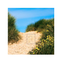 Buy Way to the Sea at AllPosters.com