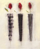 Black and White Roses III