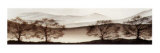 Buy Fade Away I at AllPosters.com