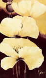 Buy Yellow Poppies III at AllPosters.com