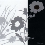 Buy Noir and Blanc at AllPosters.com