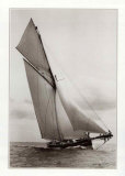 Buy Irex at AllPosters.com