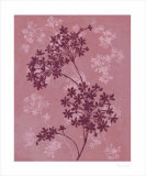 Buy Plum and Rasberry I at AllPosters.com
