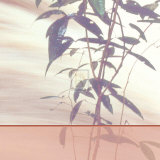 Buy Bamboo Square I at AllPosters.com