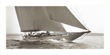 Buy Shamrock V at AllPosters.com