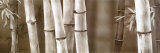 Buy Repetitions II at AllPosters.com