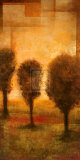 Buy Transitional Moment I at AllPosters.com