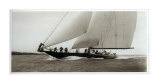 Buy Schamrock V at AllPosters.com