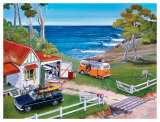 Buy Backyard Board Builder at AllPosters.com