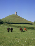 Buy Glastonbury Tor, Somerset, England, United Kingdom at AllPosters.com
