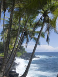 Buy Puna (Black Sand) Beach, Island of Hawaii (Big Island), Hawaii, USA at AllPosters.com