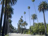 Buy Beverly Drive, Beverly Hills, California, USA at AllPosters.com