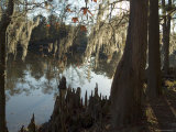Sam Houston Jones State Park, Lake Charles, Louisiana, USA