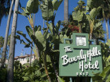 Beverly Hills Hotel, Beverly Hills, California, USA