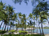 Buy Waikaloa Beach, Island of Hawaii (Big Island), Hawaii, USA at AllPosters.com