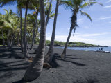 Buy Punaluu Black Sand Beach, Island of Hawaii (Big Island), Hawaii, USA at AllPosters.com