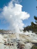Buy Norris Geysers, Yellowstone National Park, Unesco World Heritage Site, Wyoming, USA at AllPosters.com