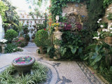 Buy Patio in Private House During Annual Patio Competition, Cordoba, Andalucia, Spain at AllPosters.com