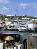 Under Paradise Island Bridge, Potter's Cay, Nassau, Bahamas, West Indies, Central America