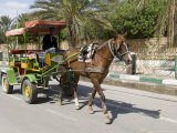 Buy Horse and Carriage, Tozeur, Tunisia, North Africa, Africa at AllPosters.com