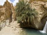 Desert Oasis, Chebika, Tunisia, North Africa, Africa