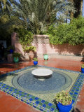 Buy Jardin Majorelle, Marrakech, Morocco, North Africa, Africa at AllPosters.com