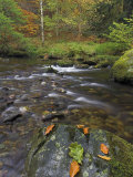 Buy Autumn Colours at Aira Beck Which Flows from Aira Force into Ullswater, Cumbria, UK at AllPosters.com