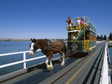Buy Horse Drawn Tram, Victor Harbour, South Australia, Australia at AllPosters.com