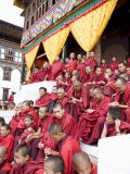 Monks Watching Religious Dances, Buddhist Festival (Tsechu), Trashi Chhoe Dzong, Thimphu, Bhutan