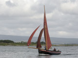 Buy Galway Hookers at Roundstone Regatta, Connemara, County Galway, Connacht, Republic of Ireland at AllPosters.com