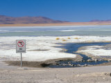 Buy No Parking Sign, Laguna Colorada, Uyuni, Bolivia, South America at AllPosters.com