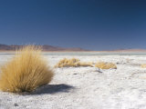 Buy Laguna Verde, Salar De Uyuni, Bolivia, South America at AllPosters.com