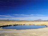 Buy Village Pond at San Juan, Salar De Uyuni, Bolivia, South America at AllPosters.com