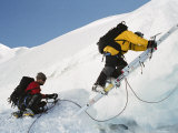 Buy Crossing Crevasse When Climbing Huayna Potosi, Cordillera Real, Bolivia, South America at AllPosters.com