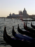 Gondolas and S. Maria Salute, Venice, Veneto, Italy