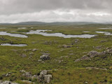 Buy Bog Land, Connemara, Connacht, Ireland at AllPosters.com